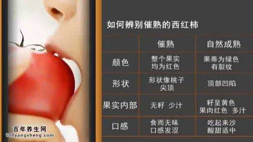 家政女皇西红柿打卤面 20150914家政女皇视频和笔记:张晔,辨别催熟西红柿,酸辣豆腐汤