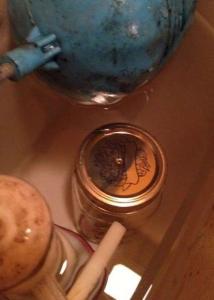 瓶子掉进厕所 老婆不小心打翻醋瓶子掉进垃圾桶,第二天奇迹发生了...