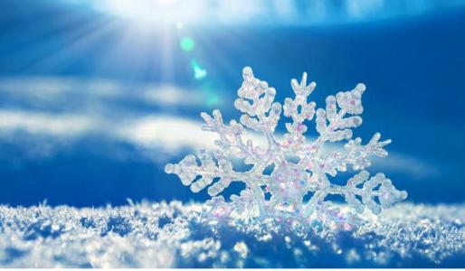 快穿飘洒女主的骨灰 我是一片雪花，我为你而飘洒