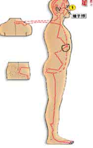 胆经郁火 疏理胆经，排解肝胆郁气