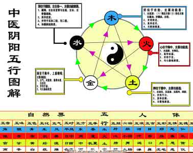 中医阴阳五行图解 中医阴阳五行图09年第一版