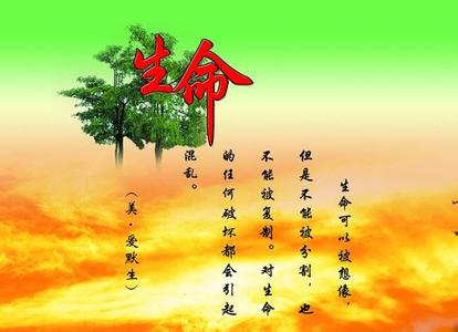 价值千金 人生九则 每则价值千金,值得一生遵循