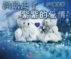 风吹走了紫紫的爱情