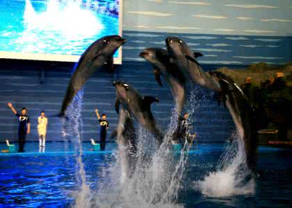 辽宁省大连辽南船厂 【大觀園】【遼園】【遼寧27】【大連老虎灘】