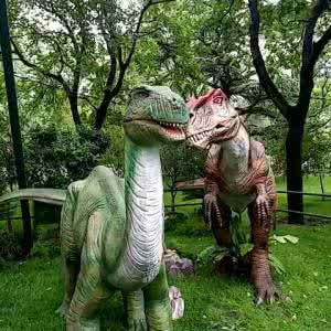 和平永川龙 霸王龙 和平永川龙