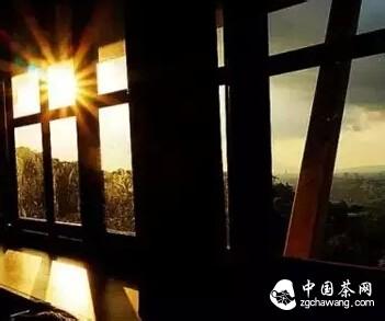 怎样找到茶农直销茶 在茶里,找到自己想要的东西