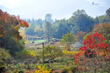 黟县塔川村 安徽黟县：皖南最美秋色在塔川