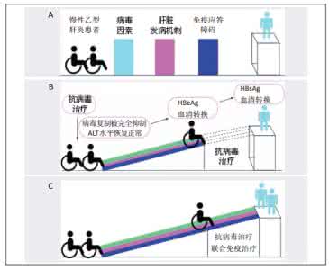 中医治疗hpv病毒感染 急性病毒感染 IL-10在病毒急性感染中的作用