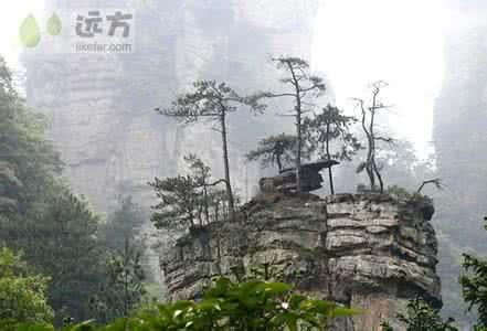 张家界黄石寨附近旅馆 张家界黄石寨旅游景点介绍（附图）