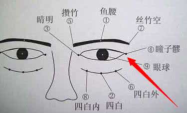 高度近视白内障手术 【穴位治疗】近视远视白内障、承泣转睛功法良