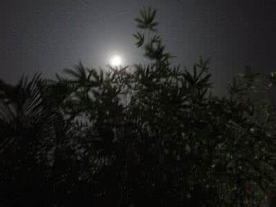 歌词夜朦胧 今夜月朦胧