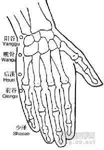 手臂放血的位置图 手指穴位的针刺与放血