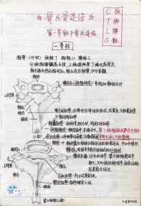 第二军医大学是军校吗 军校｜军医大学的学霸笔记，你见过吗？ 【菁菁校园】