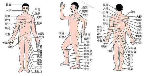 中医拔罐养生 拔罐常用到的九大穴位 拔罐穴位图