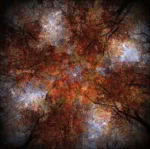 史上最触动心灵的电影 最触动心灵的十句诗