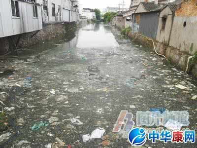 农村臭水坑养什么鱼 梦见水坑 梦见臭水坑