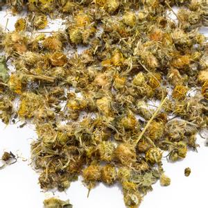 中药旋复花 肿瘤科常用抗癌中药旋复花