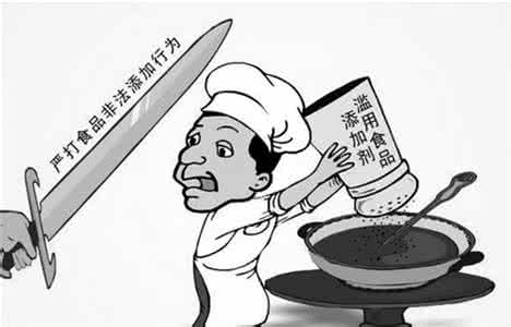 食品添加剂 孙宝国 孙宝国院士谈食品安全 食品添加剂是把“双刃剑”