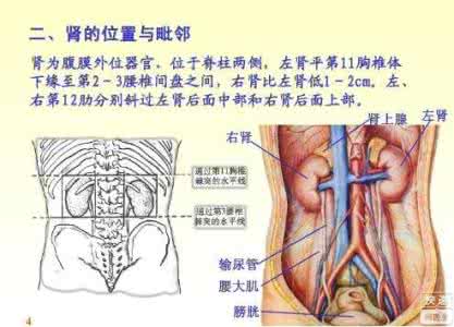 模型性肾病 期模性肾病输什么液？