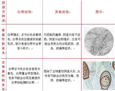 滴虫性阴道炎 如何治疗阴道炎 中医分型治疗滴虫性阴道炎