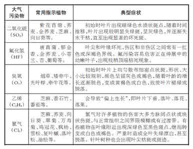 大气污染可对生物 大气污染指示生物
