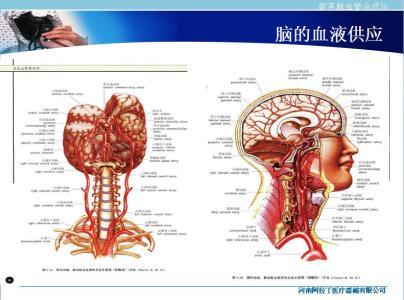 脑血管梗塞吃什么好 脑血管梗塞 脑血管梗塞有什么前兆