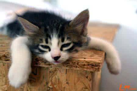 爱情让人快乐是什么歌 让我们一直不快乐的是什么