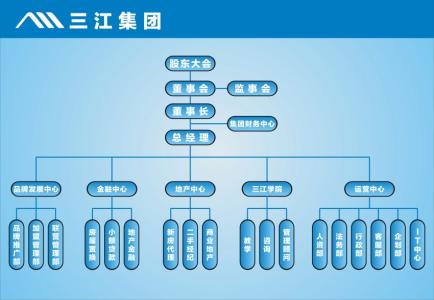 小型软件公司组织架构 小型软件公司组织架构 新开小型软件公司如何发展