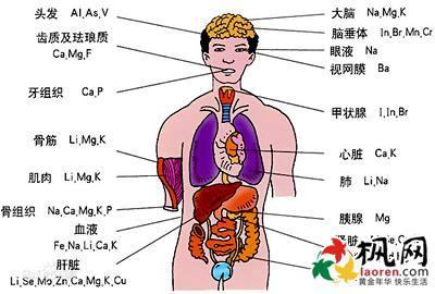 揭秘 人体癌症地图 一张人体癌症地图，看懂所有癌症，转疯了