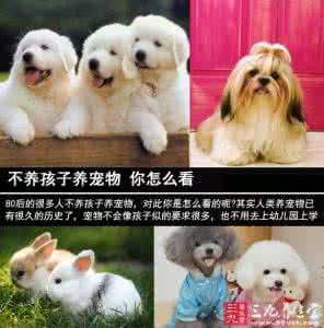 养宠物对孩子的好处 不养孩子养宠物 你怎么看