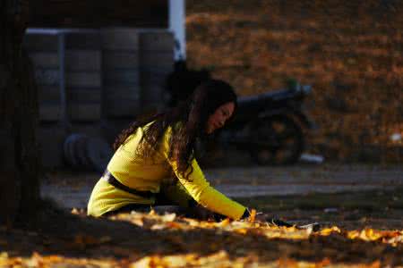 散金碎玉集 转载 散金碎玉