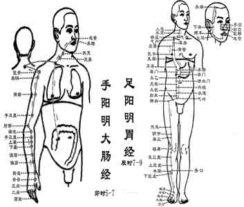 特效神奇针灸 特效穴荟萃