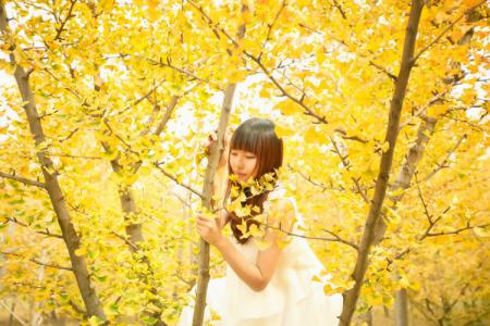 秋叶黄了想爹娘 秋雨秋凉秋叶黄