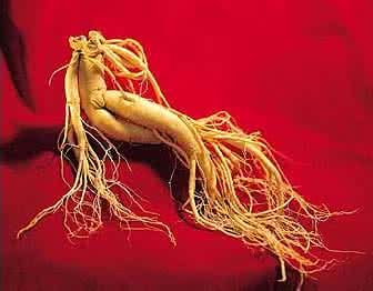 孕妇到底能不能吃高丽参？