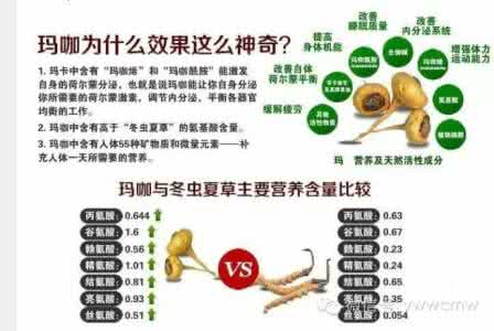 玛咖片多少钱一瓶60粒 玛咖的功效与作用
