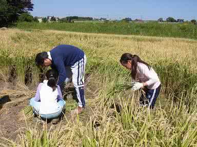 富婆装穷返农村完整版 去农村吃苦体验 一富婆赶时髦，把儿子送到农村去“吃苦”！结果富婆疯了...