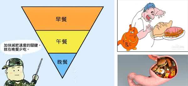 晚餐决定体重和寿命 晚餐与体重和寿命的关系，看完我住嘴了。