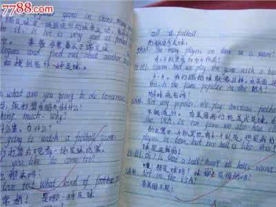 小学作文教学策略 初中作文教学中仿写策略探究