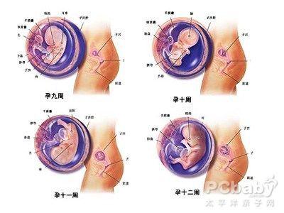 影响胎儿发育的因素 警惕 14种危害影响胎儿发育