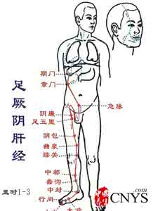 经络养生 【经络养生】每天搓搓这里 能活到九十九