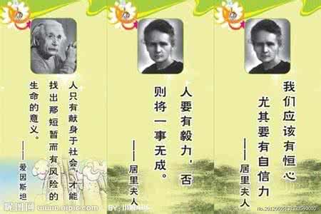 关爱动物的名言名句 有物效的名言名句,很真实的话