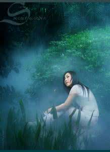 漫步神秘园 漫步神秘园(绝美音画)