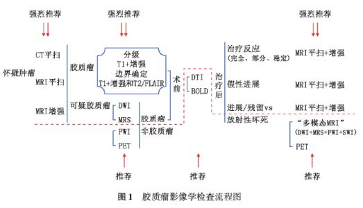 2016中国胶质瘤指南 中国中枢神经系统胶质瘤诊断和治疗指南（2015）