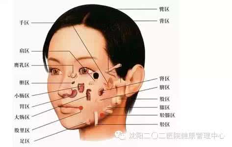 痘痘的治疗方法 【中医养生】详解：痘痘部位不同 治疗方法有异