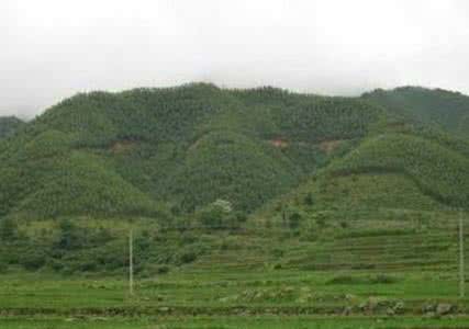 什么样的墓地风水好 什么样的墓地风水好?