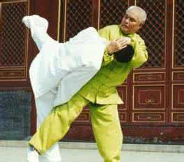 原创 通背拳入门－－基本功练习