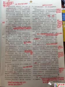 乡间小路让我陶醉 中考满分作文：乡水悠悠让我陶醉作文900字