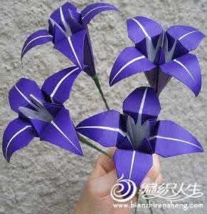 花卉折纸速学图解 【陶冶情操】图解最全各种花卉折纸方法大全