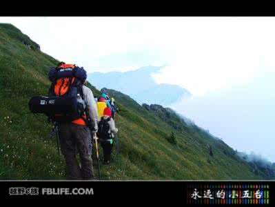 山西吕梁肉驴养殖基地 小五台山 山西之驴（二十九）小五台山