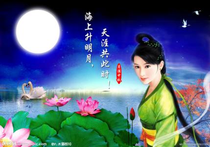 温暖心灵的情感美文 月光下的思念【情感美文】